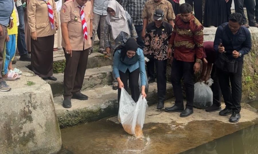 Cindy Monica Tebar 20 Ribu Benih Ikan di Perairan Alami Pariaman